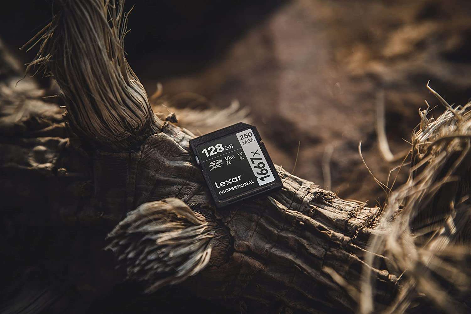 Lexar Professional 1667x SD Card UHS-II SDXC Memory Card - Veloreo